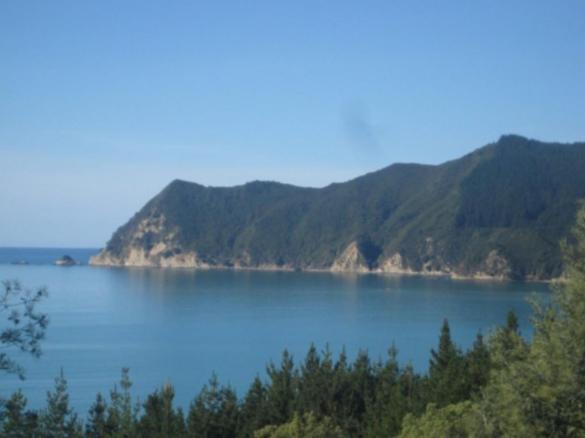 Waipiro Bay Paradise Bed & Breakfast Te Puia Dış mekan fotoğraf