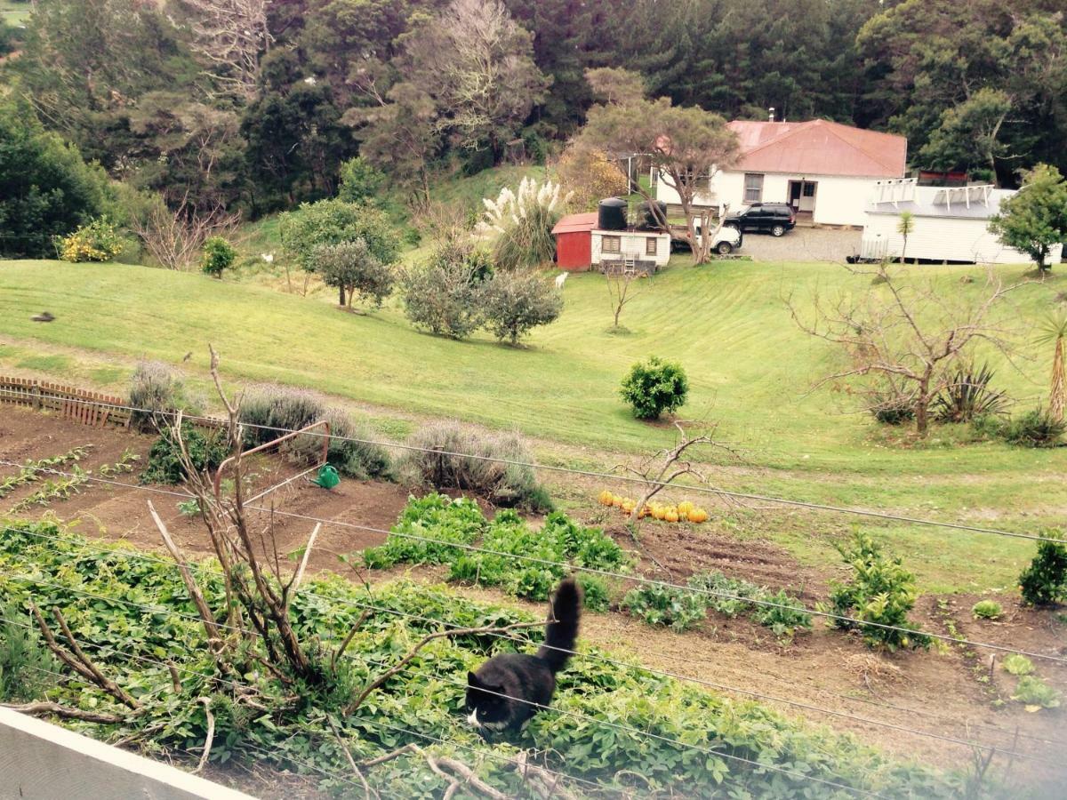 Waipiro Bay Paradise Bed & Breakfast Te Puia Dış mekan fotoğraf